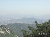 0505362s.jpg