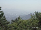 0505363s.jpg
