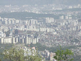 0505365s.jpg