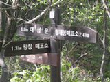 0505366s.jpg