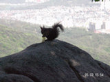 0505370s.jpg