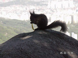 0505372s.jpg