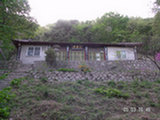 0505375s.jpg