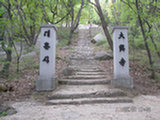 0505376s.jpg