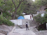0505384s.jpg