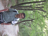 0505385s.jpg