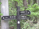 0505386s.jpg