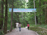 0507009s.jpg
