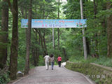 0507010s.jpg