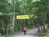 0507011s.jpg