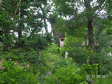 0507012s.jpg