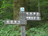 0507016s.jpg