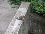 0507018s.jpg