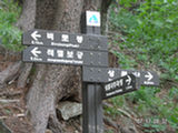 0507019s.jpg