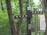 0507030s.jpg