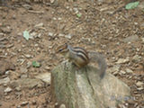 0507032s.jpg