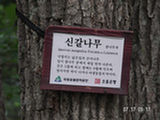 0507033s.jpg