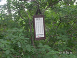 0507036s.jpg