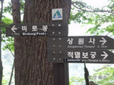 0507037s.jpg