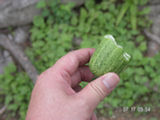 0507040s.jpg