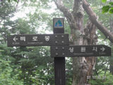 0507045s.jpg
