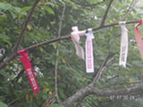 0507046s.jpg