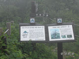 0507049s.jpg