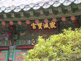 0507056s.jpg
