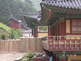 0507066s.jpg