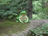 0507076s.jpg