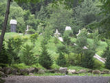 0507079s.jpg