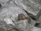 0507081s.jpg