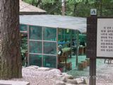 0507083s.jpg