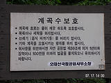 0507104s.jpg