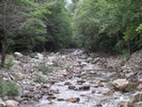0507106s.jpg