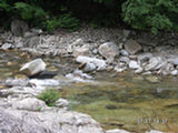 0507109s.jpg