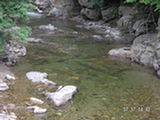0507112s.jpg