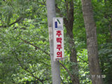 0507116s.jpg