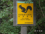 0507125s.jpg