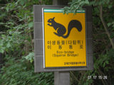 0507126s.jpg