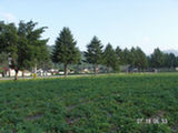 0507134s.jpg