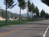 0507136s.jpg