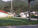 0507138s.jpg