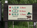 0507169s.jpg