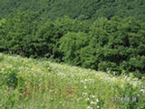 0507183s.jpg