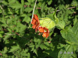 0507186s.jpg