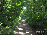 0507222s.jpg
