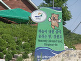 0507228s.jpg