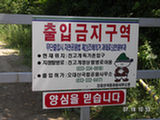 0507237s.jpg