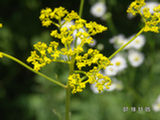 0507242s.jpg
